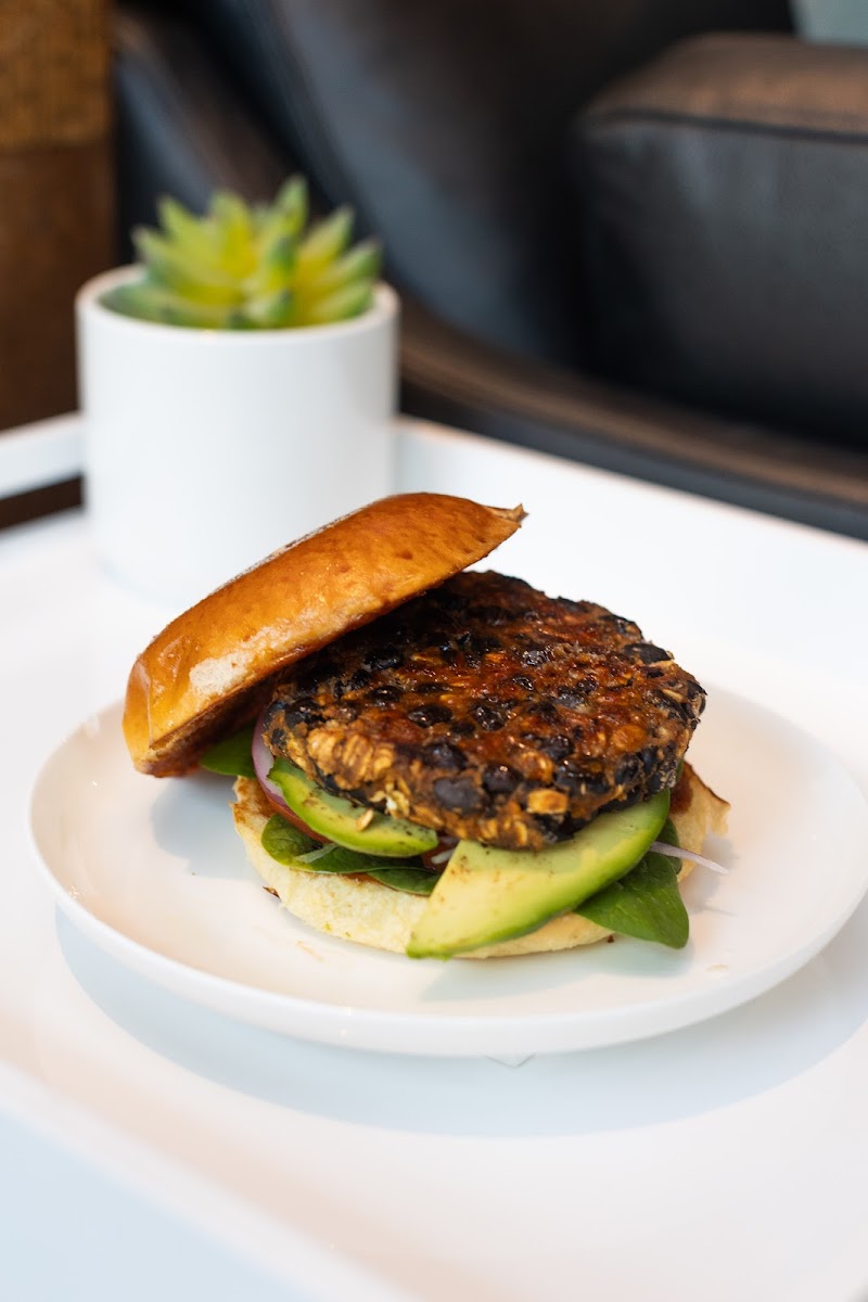 Canard Café Bar Stamford Photos 2