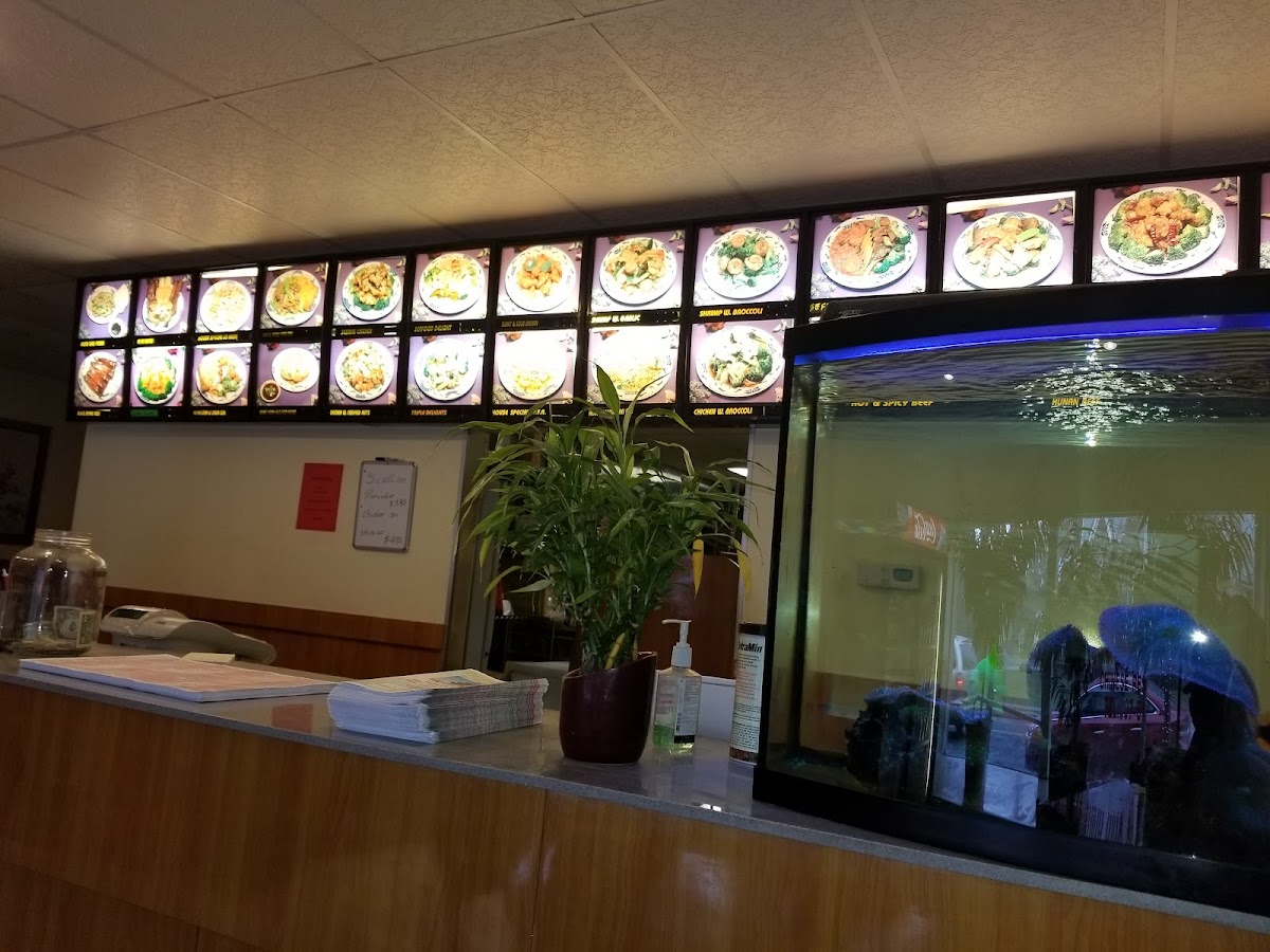 China King Of Sherburne